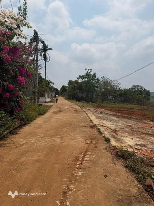 Bất động sản tại Đắk Lắk - ảnh 1