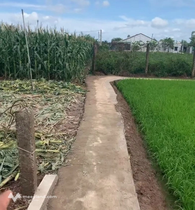 Bất động sản tại Tiền Giang - ảnh 1