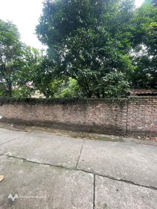 Bất động sản tại Phú Thọ - ảnh 1