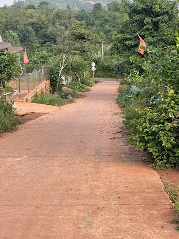 Bất động sản tại Đắk Lắk - ảnh 1