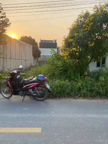 Bất động sản tại Long An - ảnh 1
