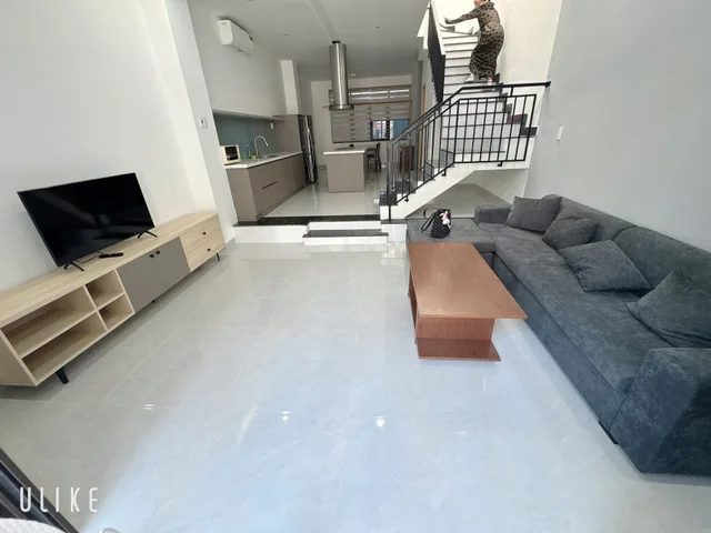 Bất động sản tại Đà Nẵng - ảnh 1