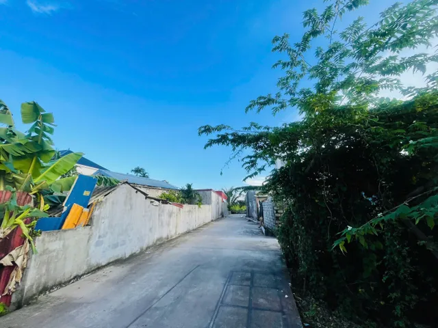 Bất động sản tại Hải Phòng - ảnh 1