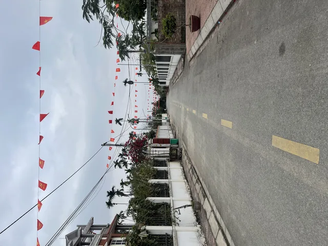 Bất động sản tại Hải Phòng - ảnh 1