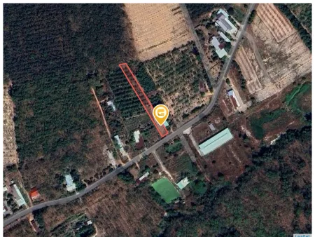 Bất động sản tại Bình Dương - ảnh 1