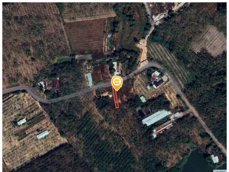 Bất động sản tại Bình Dương - ảnh 1