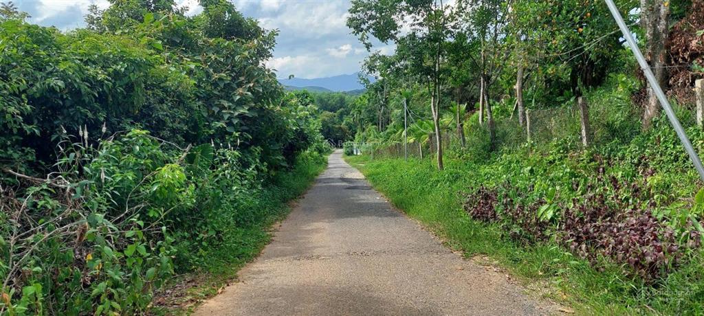 Bất động sản tại Đà Nẵng - ảnh 1