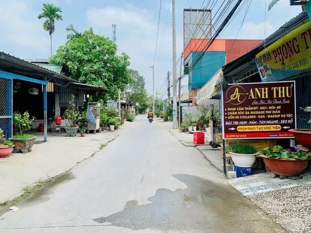 Bất động sản tại Long An - ảnh 1