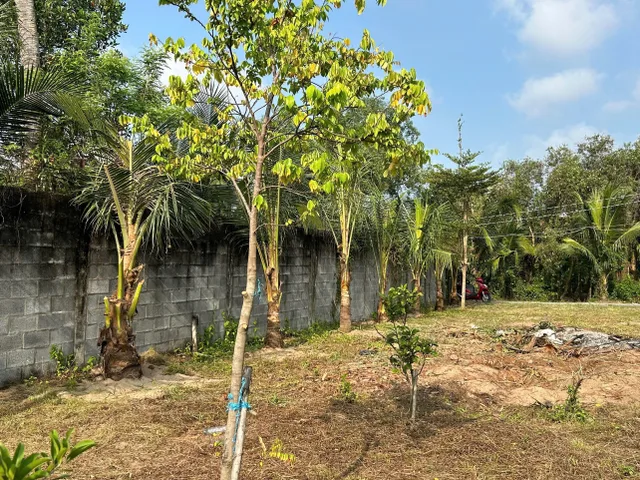 Bất động sản tại Long An - ảnh 1