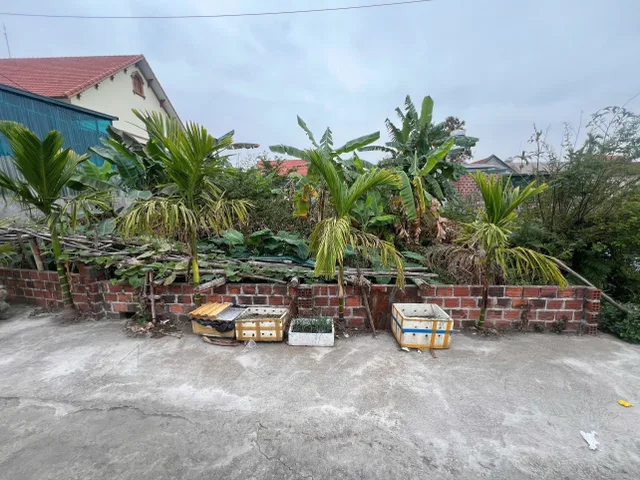 Bất động sản tại Quảng Ninh - ảnh 1