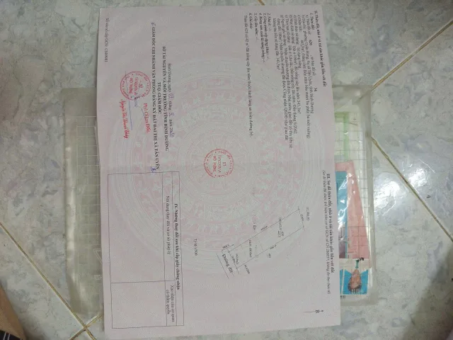 Bất động sản tại Bình Dương - ảnh 1