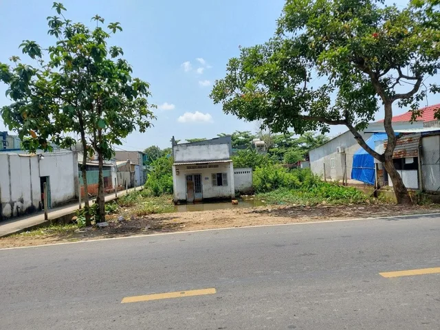 Bất động sản tại TP. Hồ Chí Minh - ảnh 1