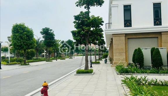 Bất động sản tại Hải Phòng - ảnh 1