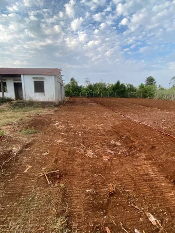 Bất động sản tại Đắk Lắk - ảnh 1
