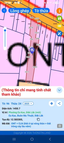 Bất động sản tại Đắk Lắk - ảnh 1