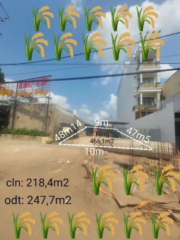 Bất động sản tại Cần Thơ - ảnh 1
