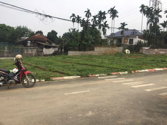 Bất động sản tại Phú Thọ - ảnh 1