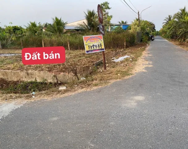 Bất động sản tại Đồng Tháp - ảnh 1