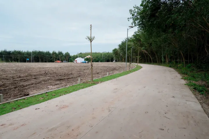 Bất động sản tại Bình Dương - ảnh 1