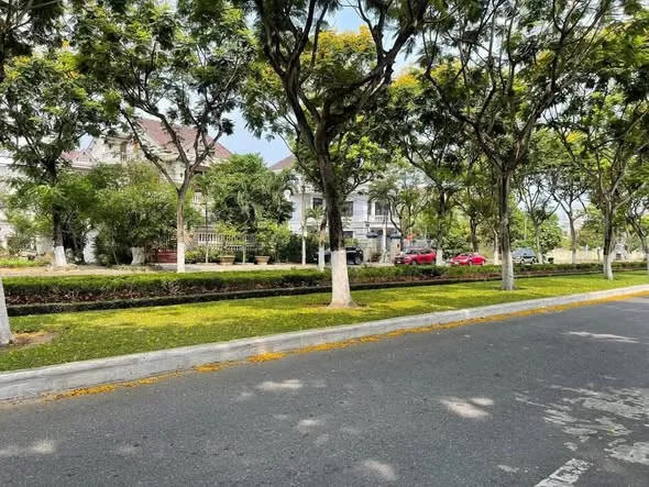 Bất động sản tại Đà Nẵng - ảnh 1
