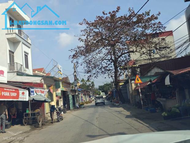 Bất động sản tại Hưng Yên - ảnh 1