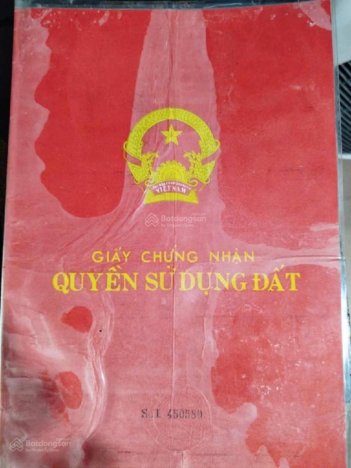 Bất động sản tại Đà Nẵng - ảnh 1