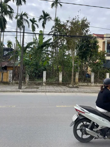 Bất động sản tại Đà Nẵng - ảnh 1
