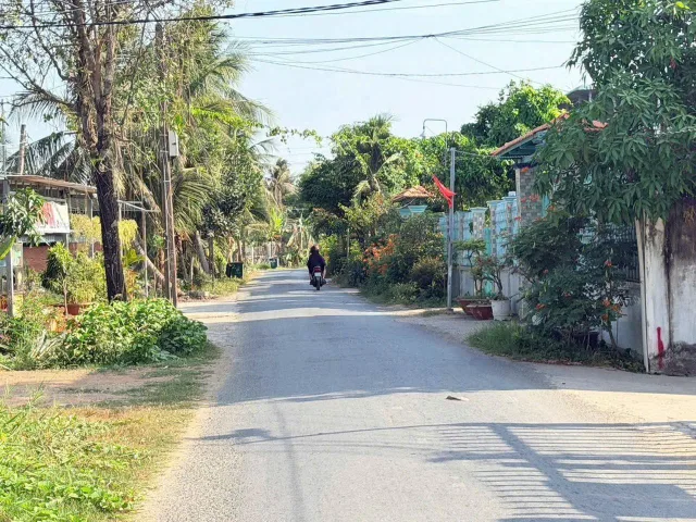 Bất động sản tại Long An - ảnh 1
