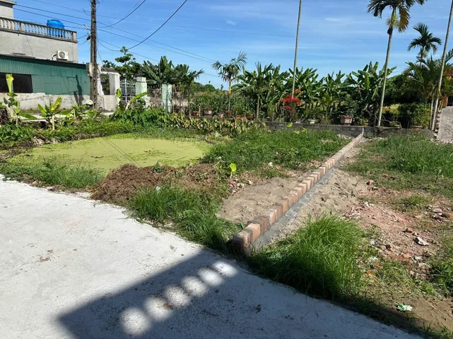 Bất động sản tại Hưng Yên - ảnh 1
