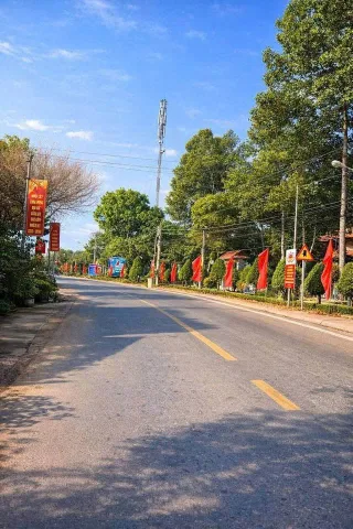 Bất động sản tại Bình Dương - ảnh 1