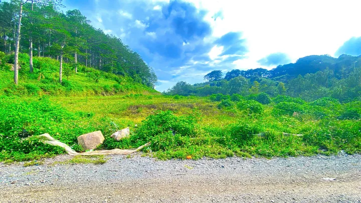 Bất động sản tại Lâm Đồng - ảnh 1
