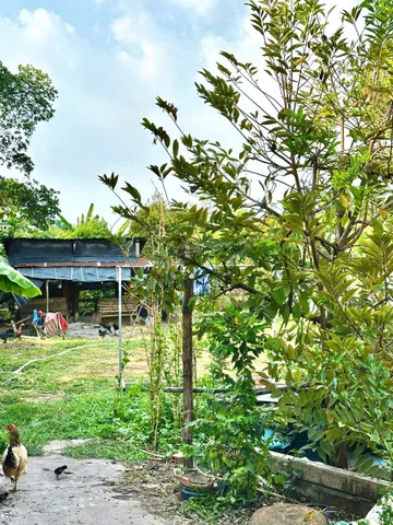 Bất động sản tại Tây Ninh - ảnh 1