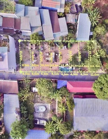 Bất động sản tại Đồng Nai - ảnh 1