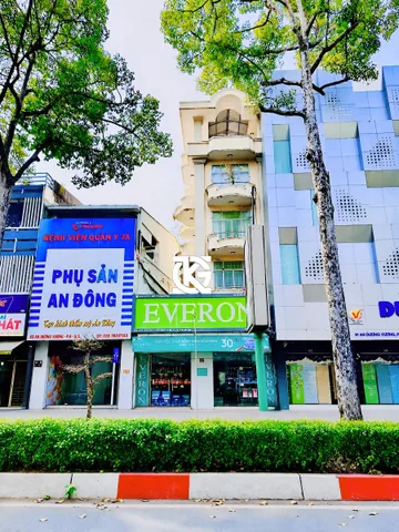 Bất động sản tại TP. Hồ Chí Minh - ảnh 1