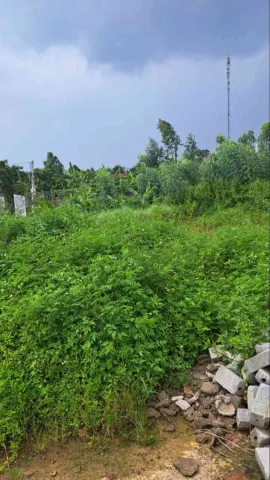 Bất động sản tại Bắc Giang - ảnh 1