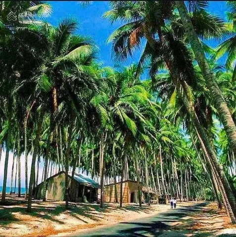 Bất động sản tại Lâm Đồng - ảnh 1