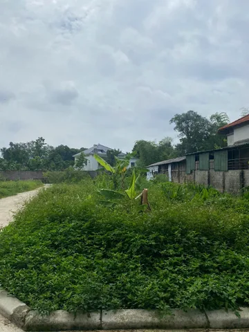 Bất động sản tại Phú Thọ - ảnh 1
