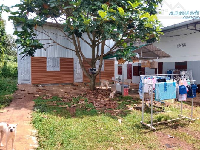 Bất động sản tại Đắk Lắk - ảnh 1