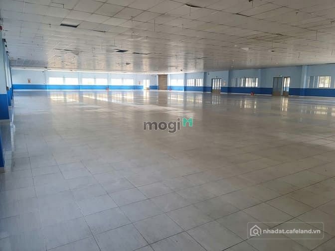 Bất động sản tại TP. Hồ Chí Minh - ảnh 1