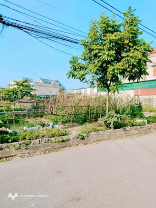 Bất động sản tại Quảng Ninh - ảnh 1