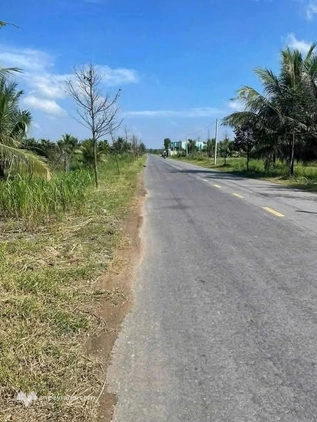 Bất động sản tại Bến Tre - ảnh 1