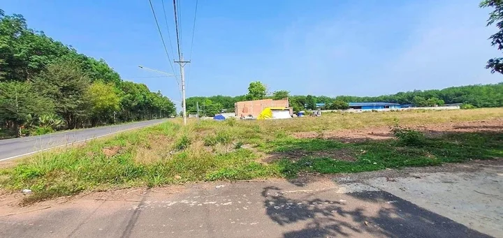 Bất động sản tại Đồng Nai - ảnh 1