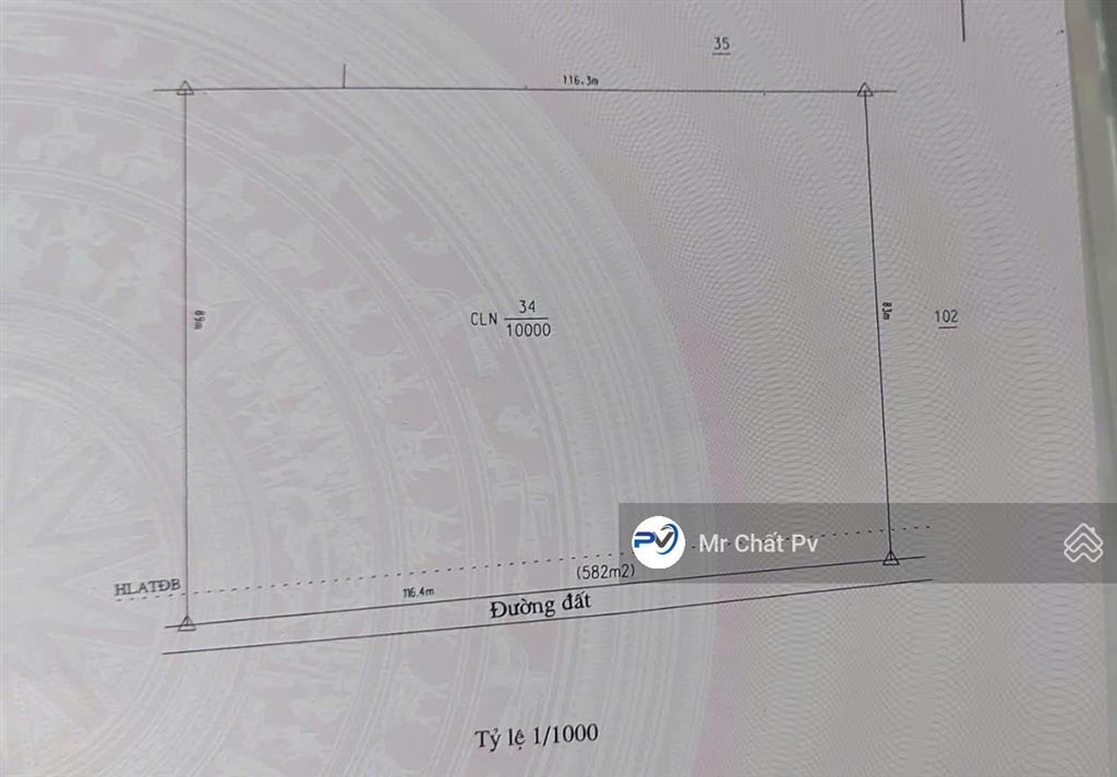 Bất động sản tại Bình Dương - ảnh 1