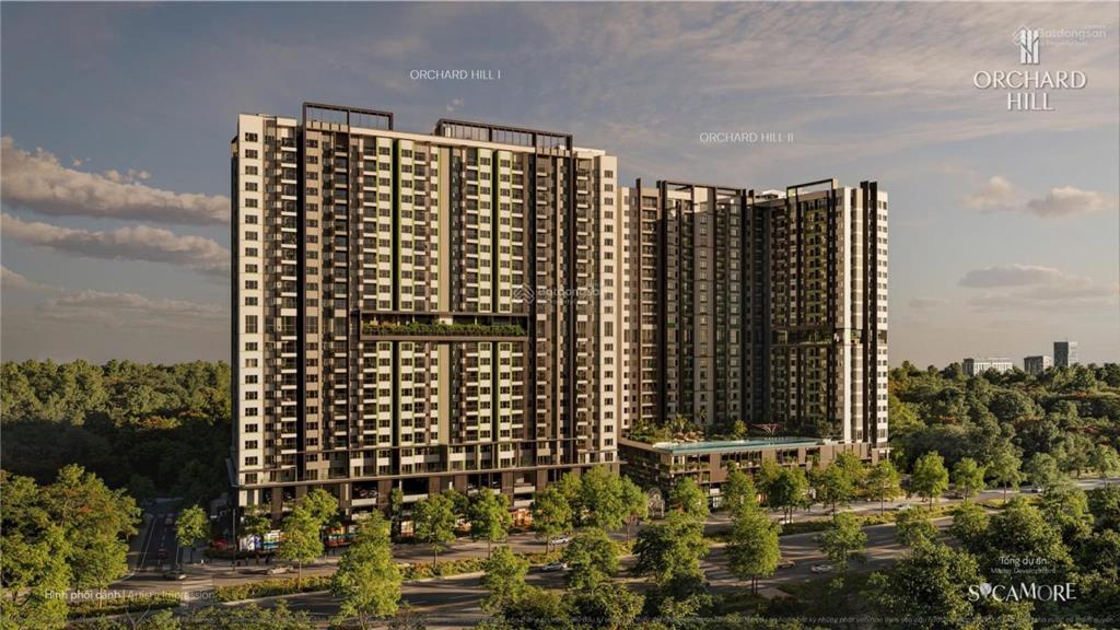 Bất động sản tại Bình Dương - ảnh 1