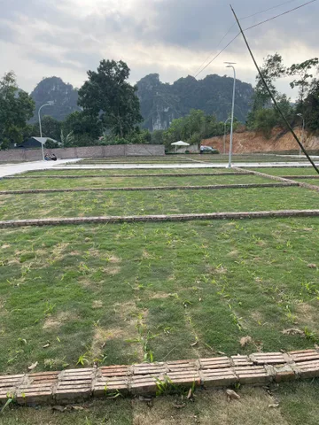 Bất động sản tại Phú Thọ - ảnh 1