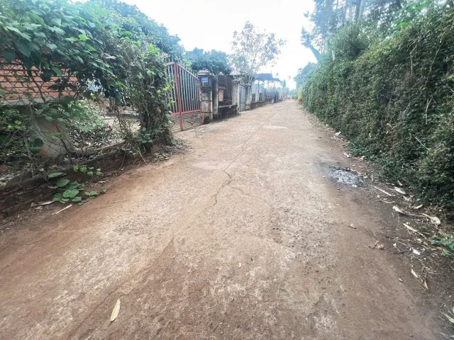 Bất động sản tại Đắk Lắk - ảnh 1