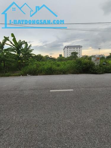 Bất động sản tại Hải Phòng - ảnh 1