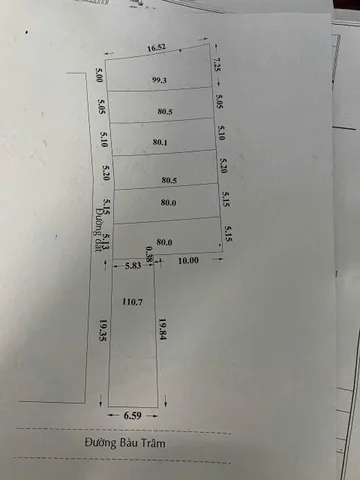 Bất động sản tại TP. Hồ Chí Minh - ảnh 1