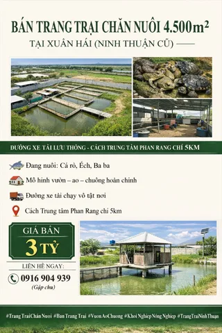 Bất động sản tại Ninh Thuận - ảnh 1