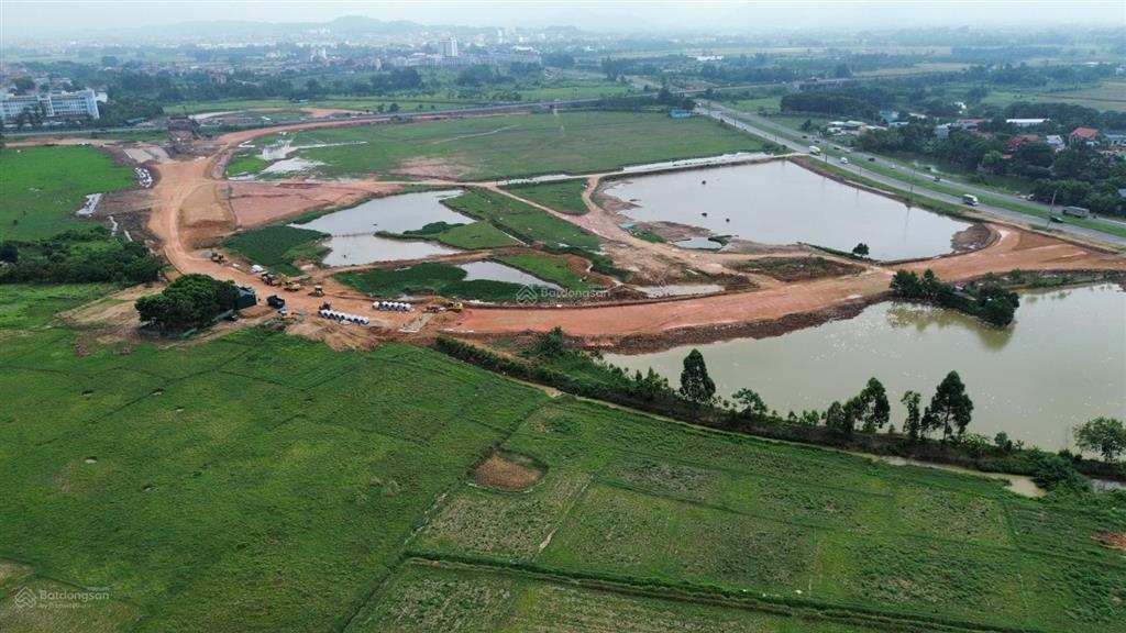 Bất động sản tại Vĩnh Phúc - ảnh 1